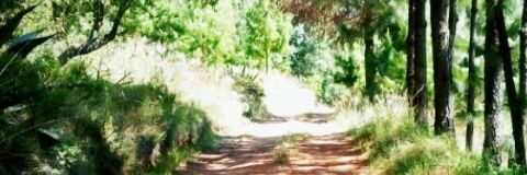 mexzziv's profile banner image