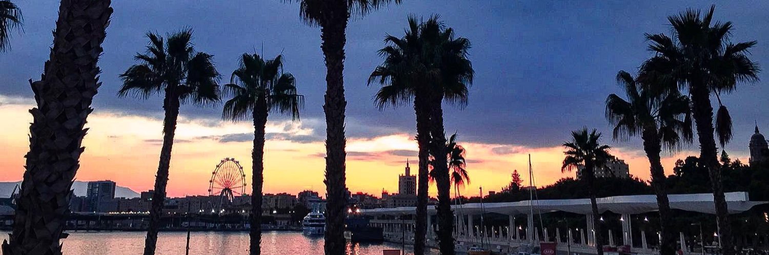 NoePRDS16's profile banner image