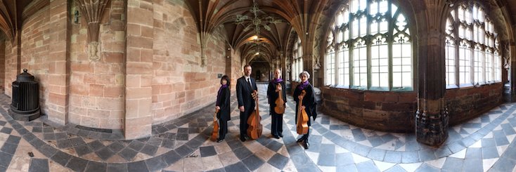 Linarol Consort banner