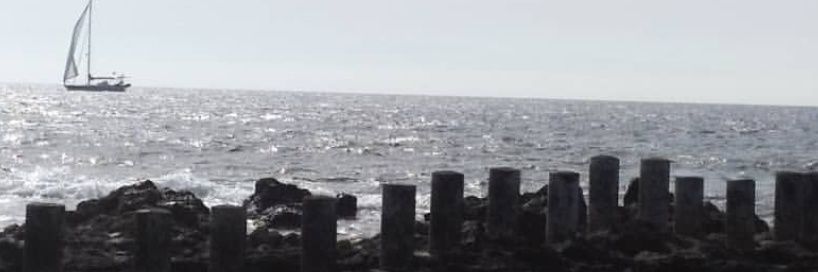 mcarmen_97's profile banner image