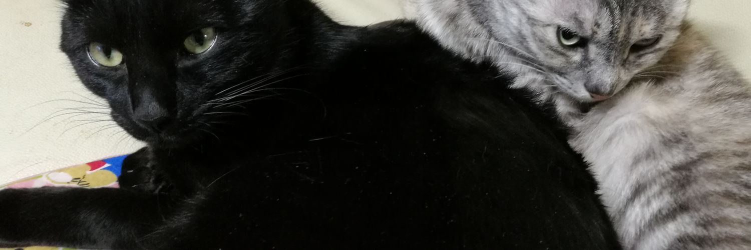 tshincs's profile banner image
