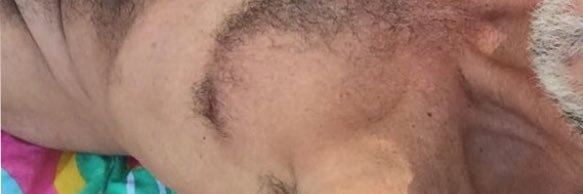 BareBearsRBest's profile banner image