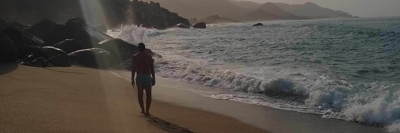 leoalende's profile banner image