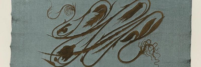 fractldialectic's profile banner image
