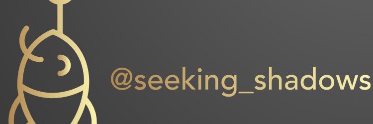 seeking shadows banner