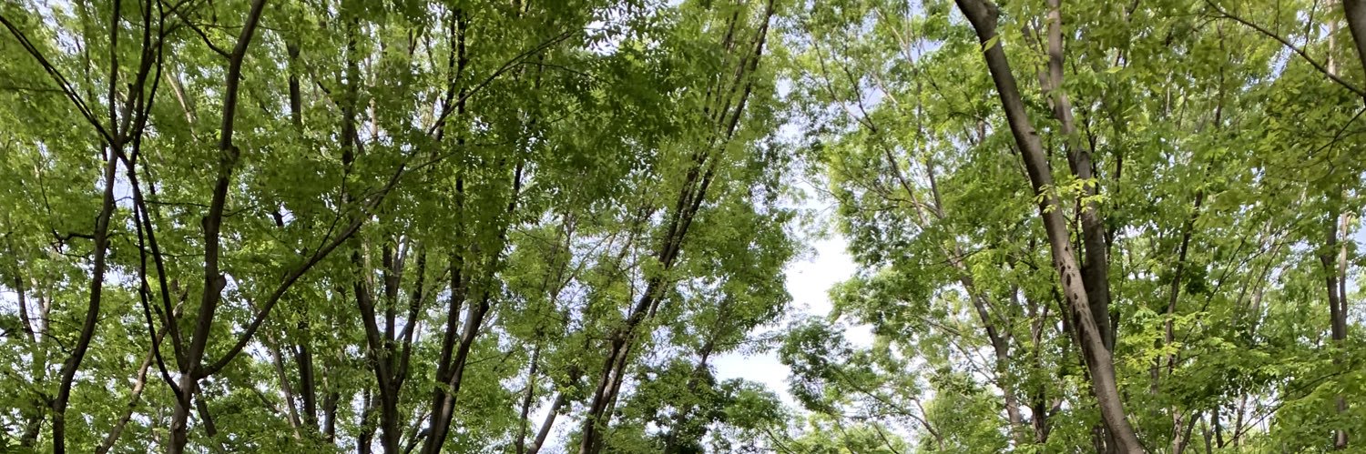 Krmn_tp26's profile banner image