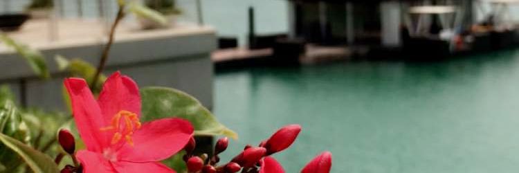 AFRG12's profile banner image