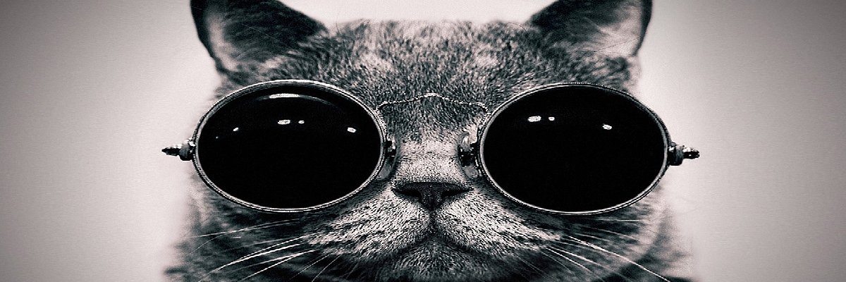 RedyFasil's profile banner image