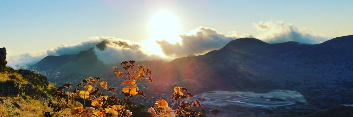 LucaBellomonte8's profile banner image