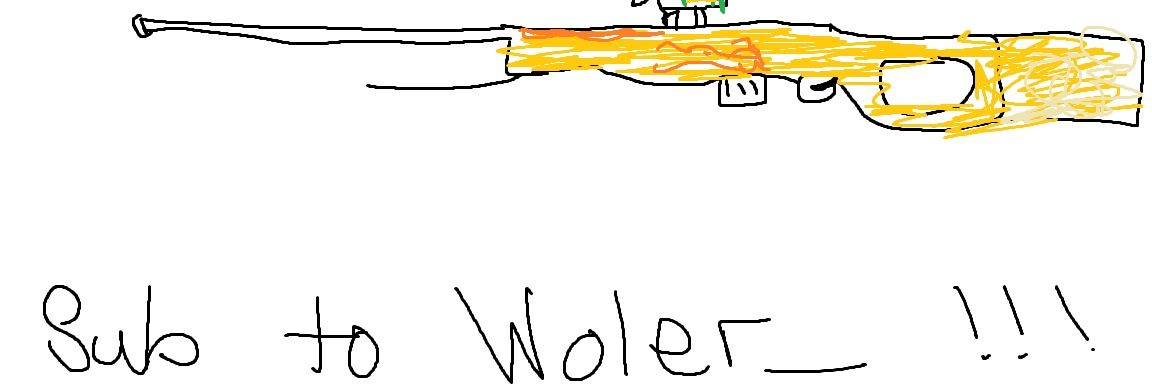Woler_ banner