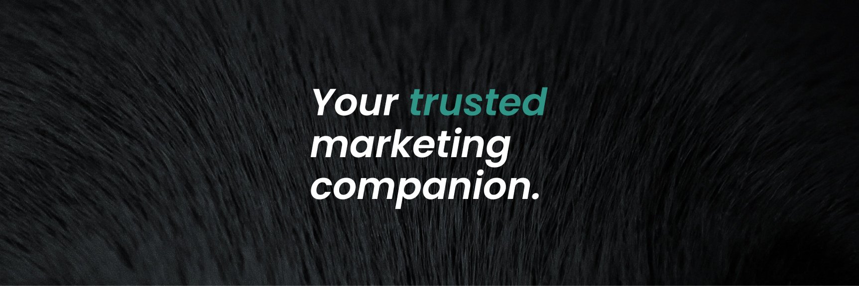 Pointr Agency banner