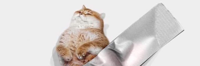 RashnoRC's profile banner image