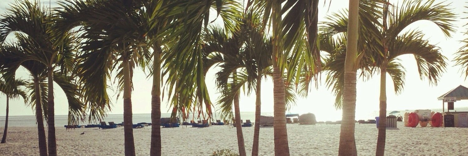 Melissa Tumini banner