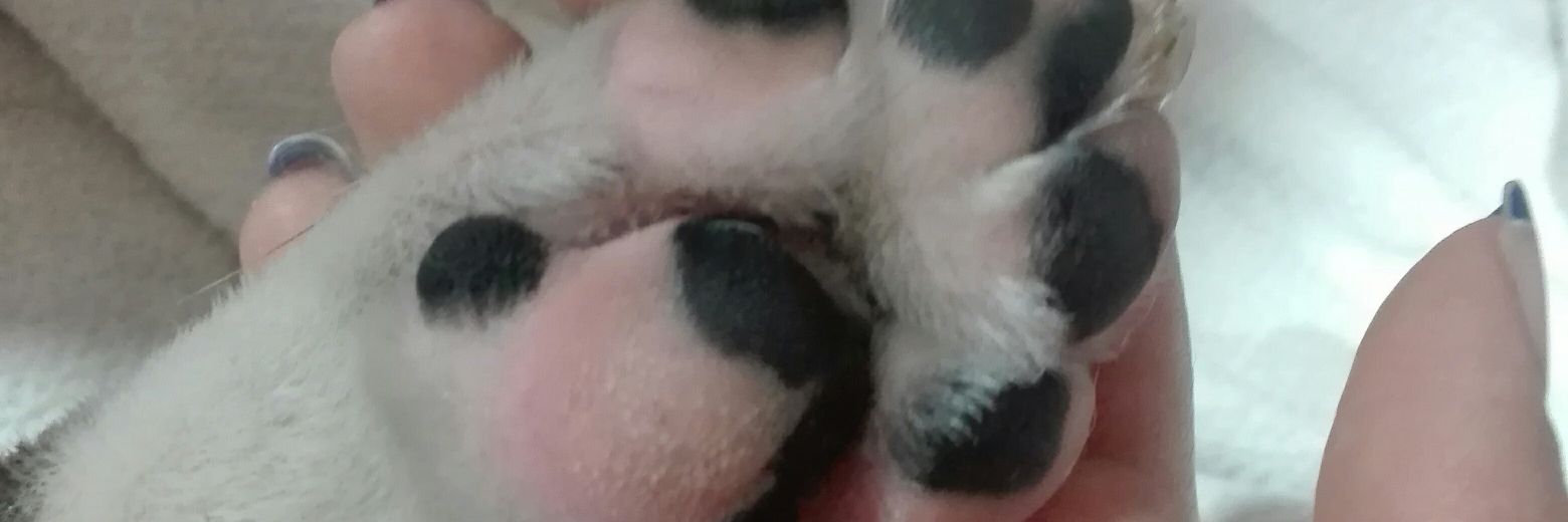 Melissa___09's profile banner image
