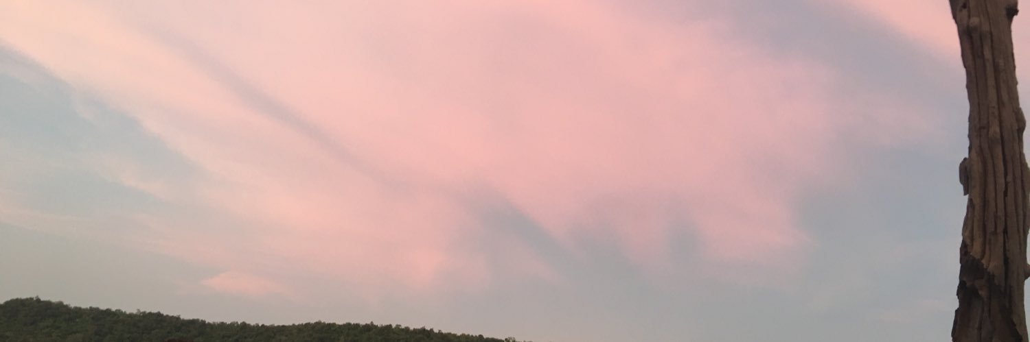 teddybear_BP's profile banner image