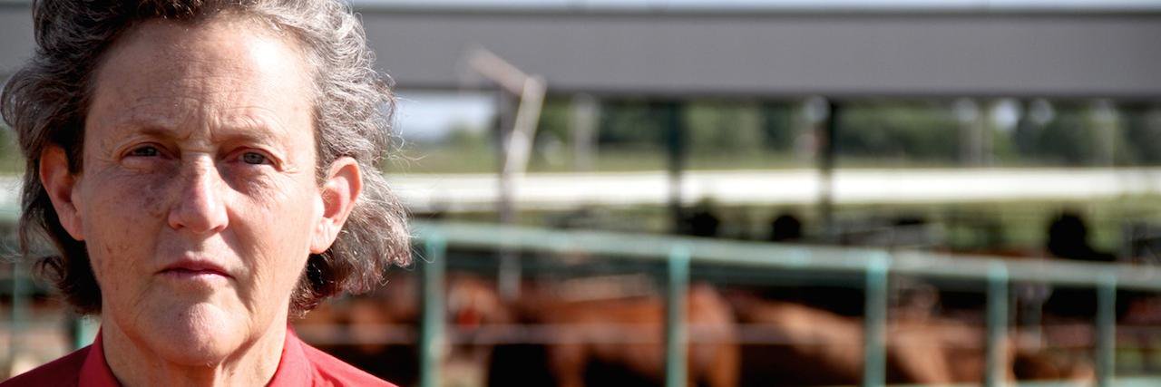 TempleGrandin's profile banner image