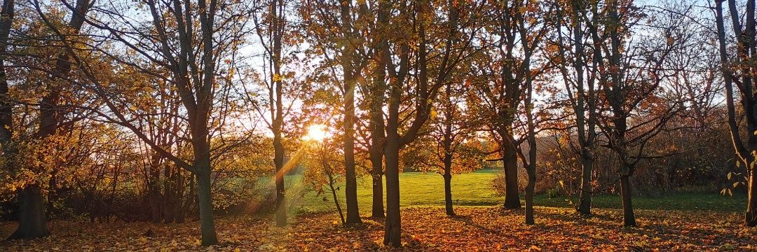 Rachel Keating banner