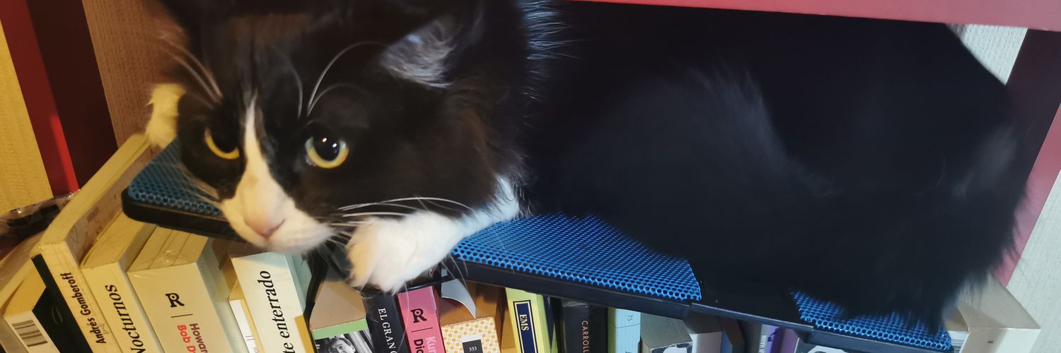 Jaimeandroide1's profile banner image