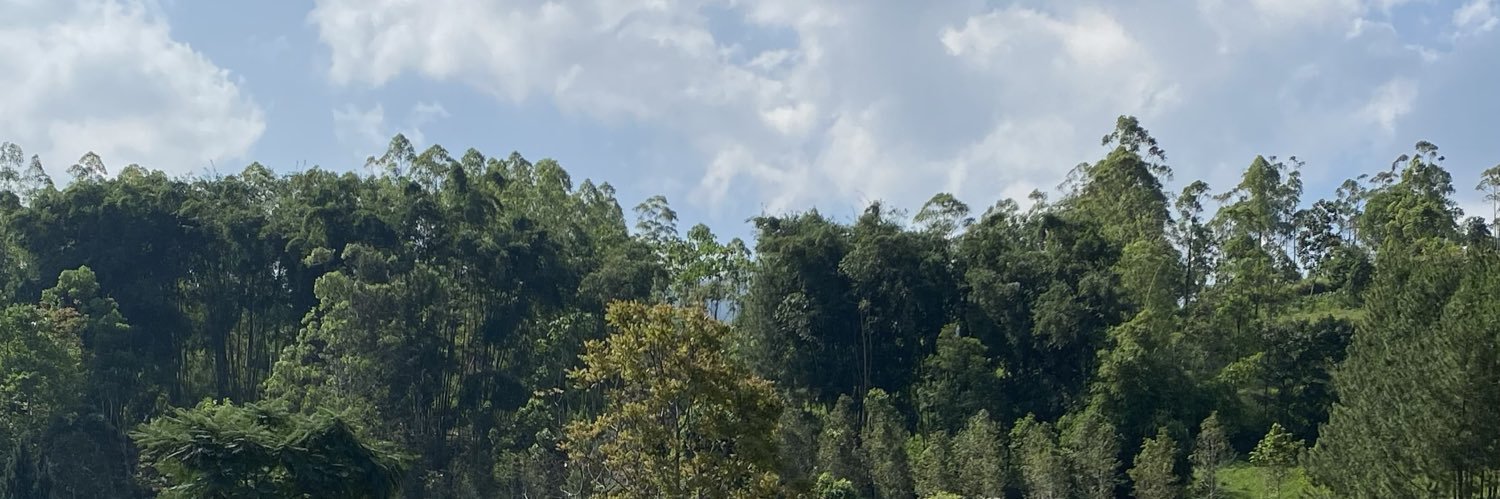 mocipiciy's profile banner image
