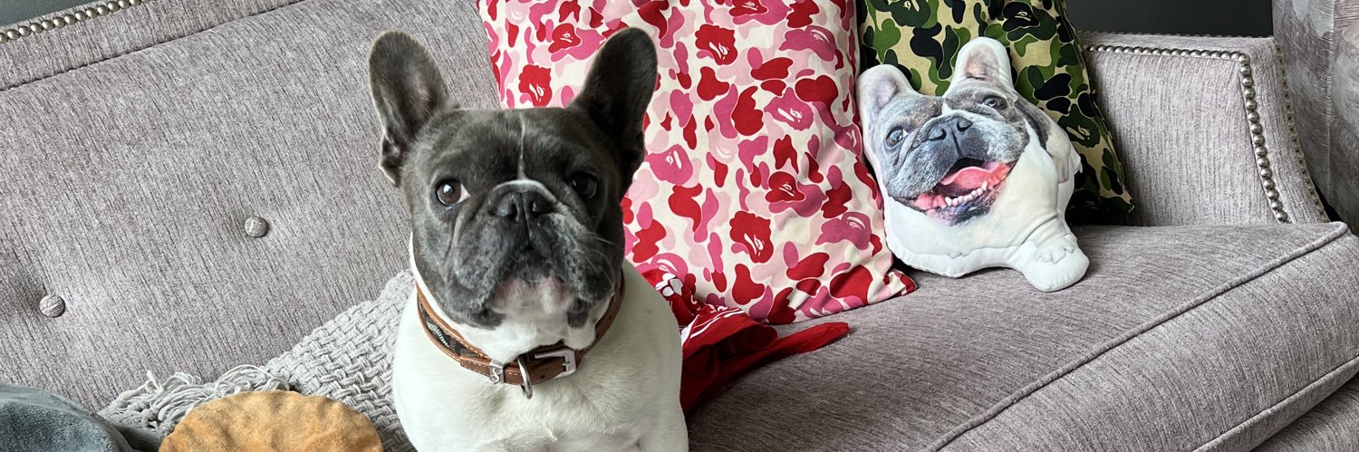 Cameron Payne banner