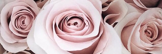 Pen_Barrette's profile banner image