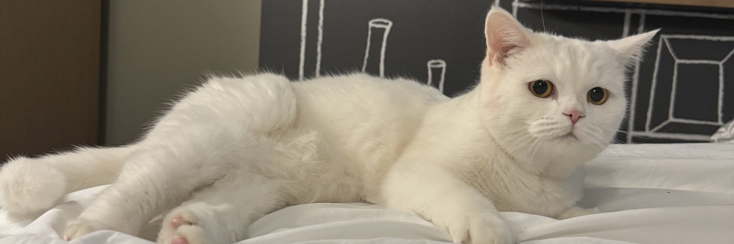 mevrecee's profile banner image