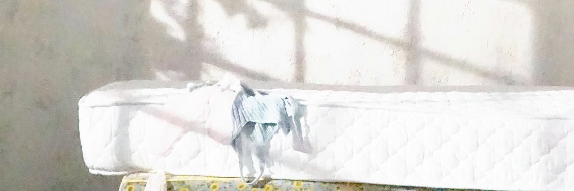 jungbunny__'s profile banner image