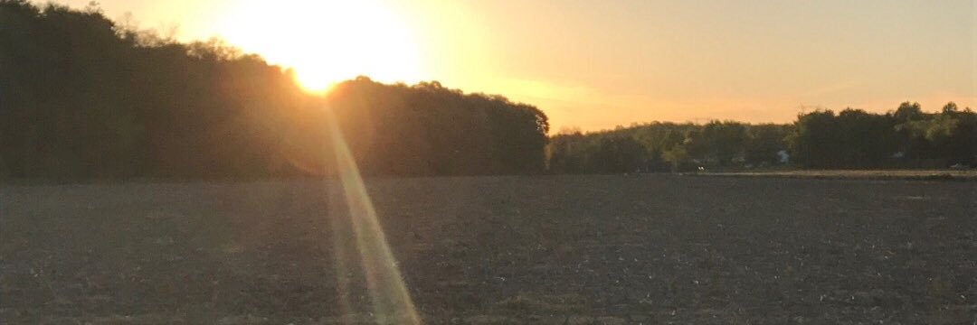 PrincessDeere's profile banner image