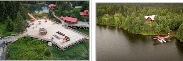 withinthewild Profile Banner