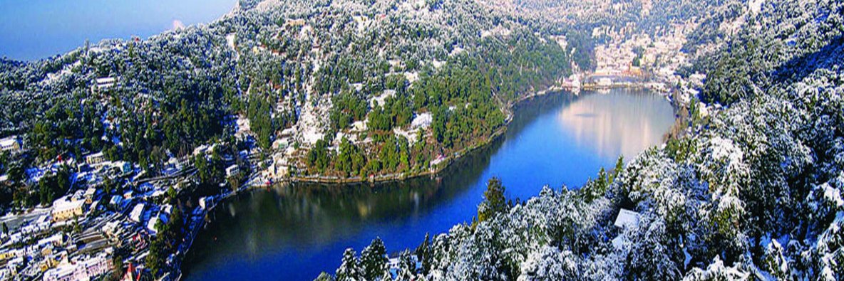 Devendra Singh Dhami | देवेंद्र सिंह धामी 🇮🇳 banner