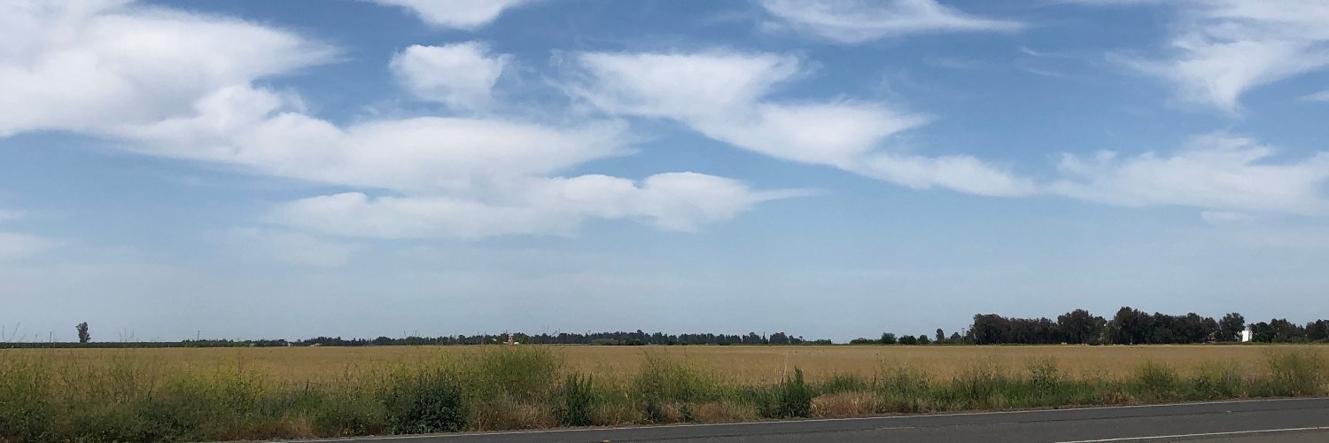 Dr. Carole Hom banner