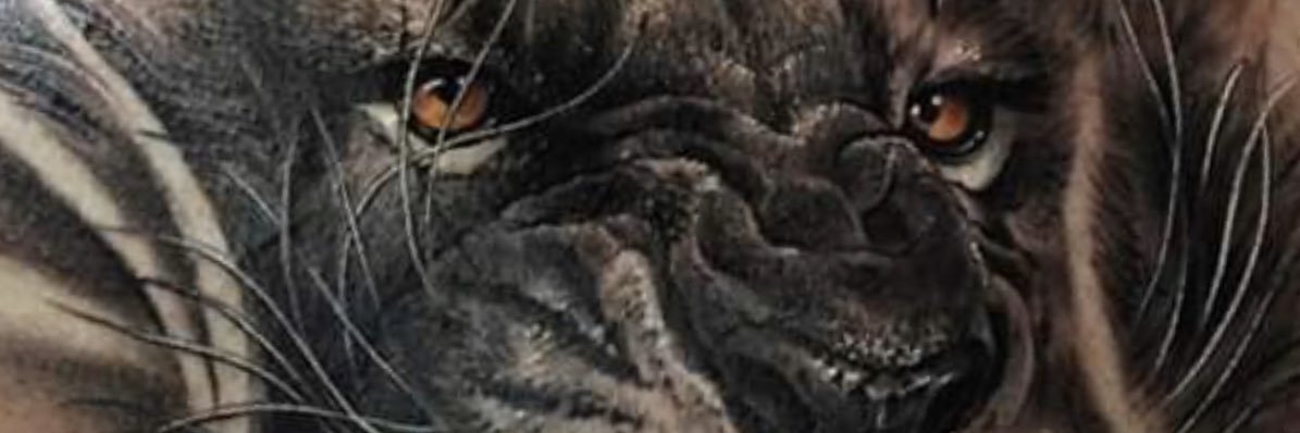 dom_mcafee's profile banner image