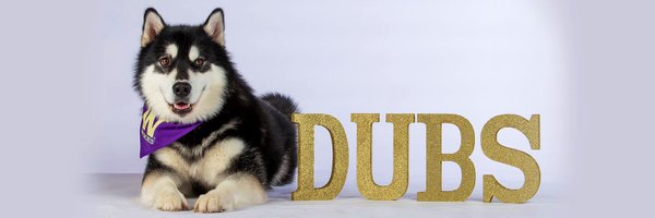 Dubs Profile Banner