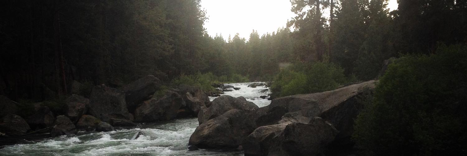 Victoria Jacobsen banner