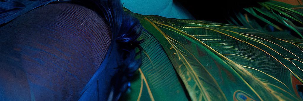 Kkken banner