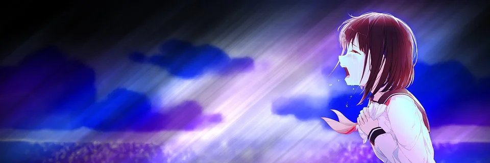 M8 PALARDO banner