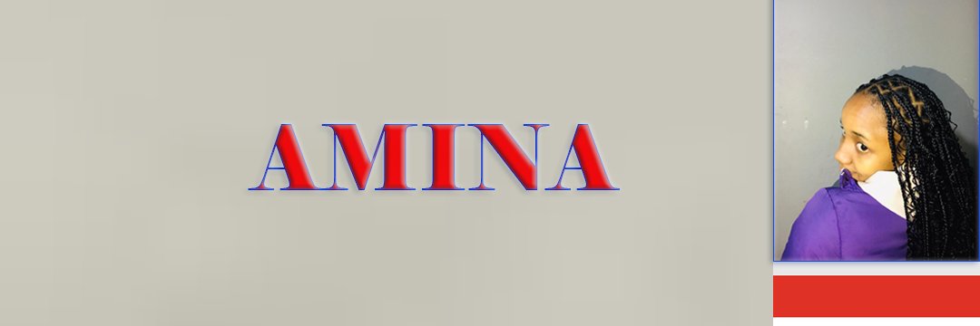 Amina_RSA's profile banner image