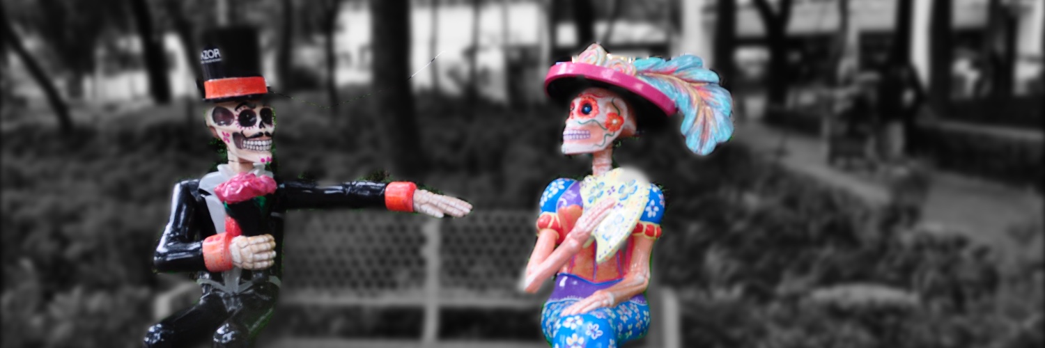 isnomoto's profile banner image