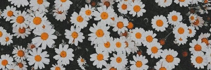 Laura Bautista banner