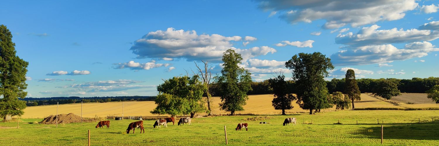 GopsallHallFarm's profile banner image