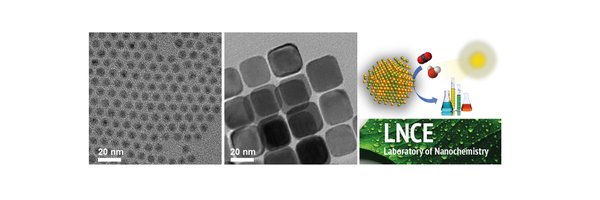 lnce_epfl Profile Banner