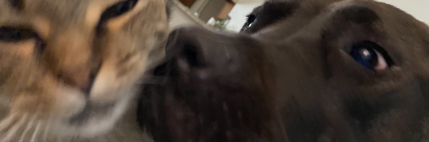 DigitalZae's profile banner image