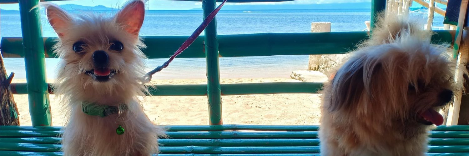 stingaliiing's profile banner image