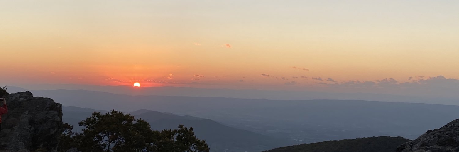 TheStringQueen's profile banner image