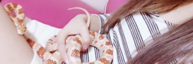 nya00812's profile banner image