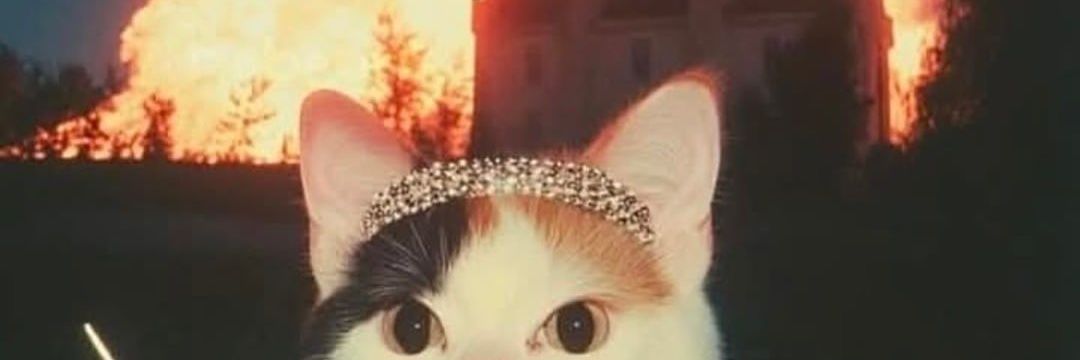 FlorTeix's profile banner image