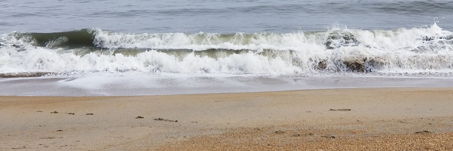 Michelle Schaffer banner