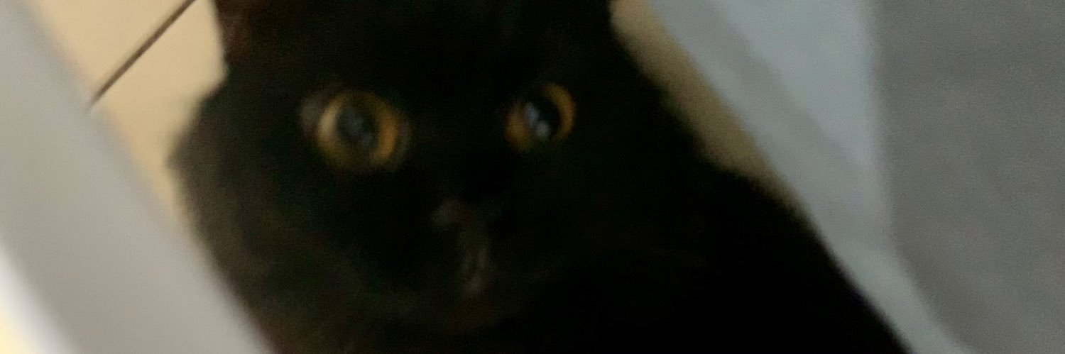 _skyaa's profile banner image
