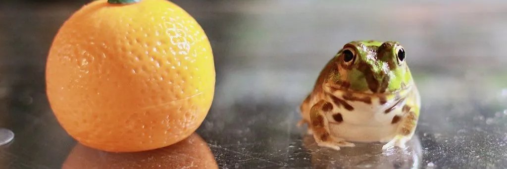 rainsided's profile banner image