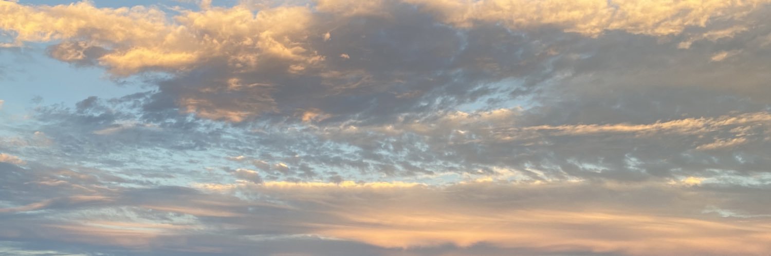 samiegraeber's profile banner image